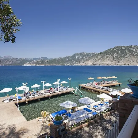 Selimiye Mavisi