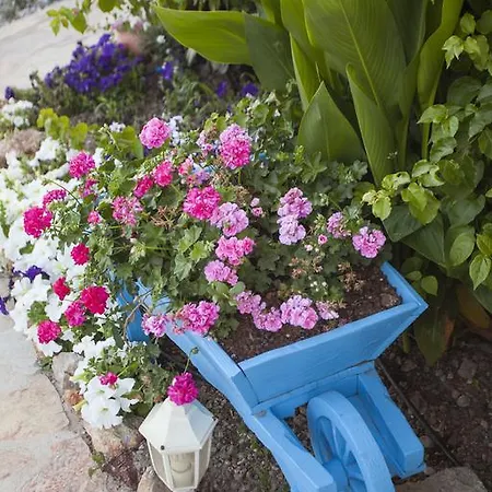 Selimiye Mavisi Bed & Breakfast