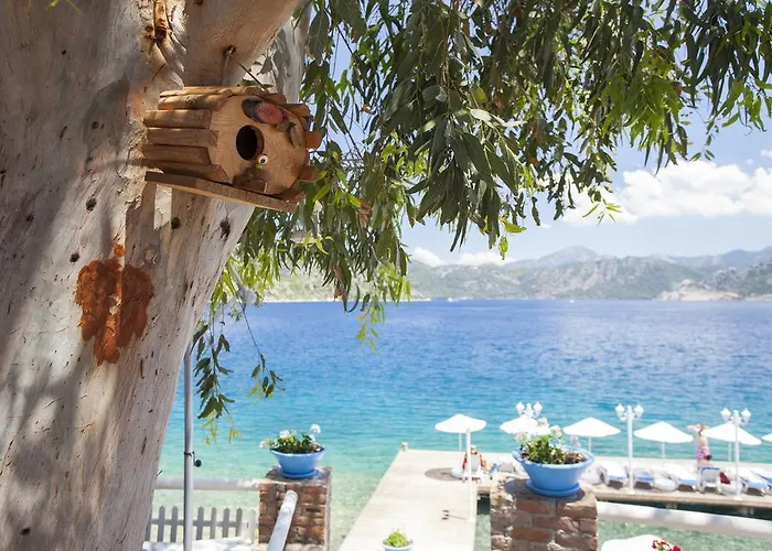 Selimiye Mavisi Couette-café Selimiye (Aegean)