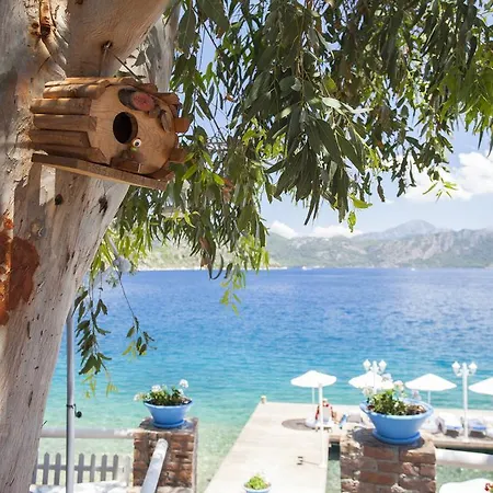 Selimiye Mavisi Frühstückspension Selimiye (Aegean)