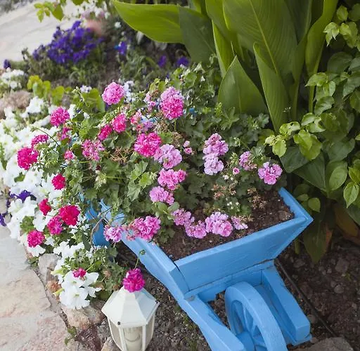 Selimiye Mavisi Panzió